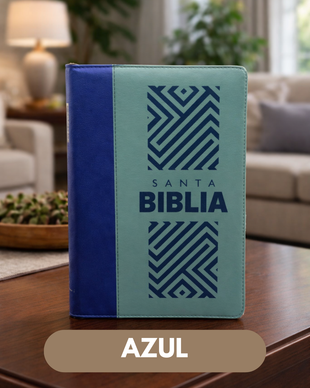 BIBLIA LETRA GIGANTE