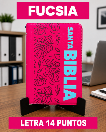 Nueva biblia ECOFLEX