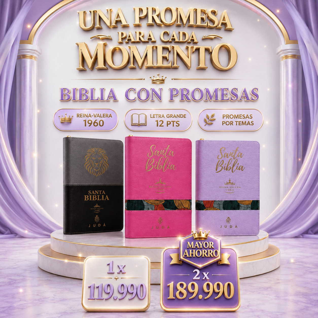 Biblia con Promesas