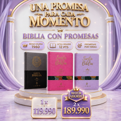 Biblia con Promesas