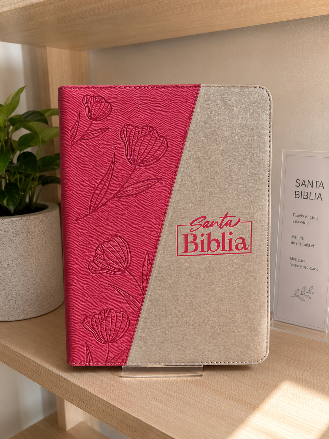 BIBLIA LETRA GIGANTE 14 con indice
