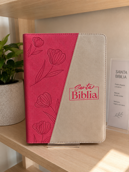 BIBLIA LETRA GIGANTE 14 con indice
