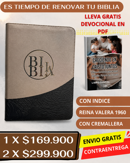 BIBLIA LETRA GIGANTE 14 con indice