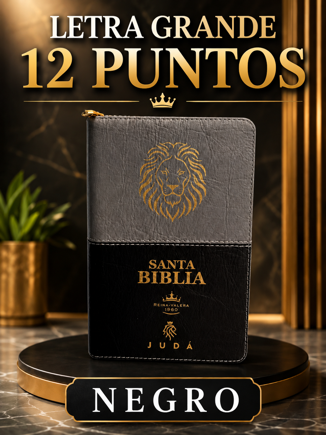 Biblia con Promesas