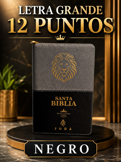 Biblia con Promesas