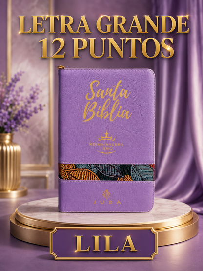 Biblia con Promesas
