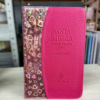 BIBLIA  Reina Valera 1960 Con ayudas