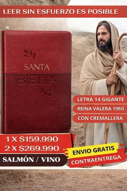 BIBLIA LETRA GIGANTE