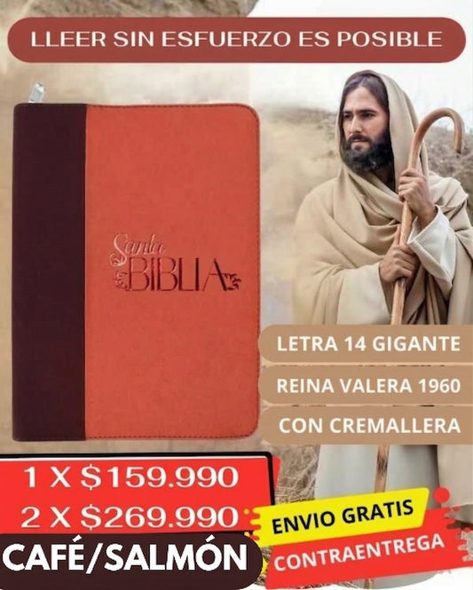 BIBLIA LETRA GIGANTE