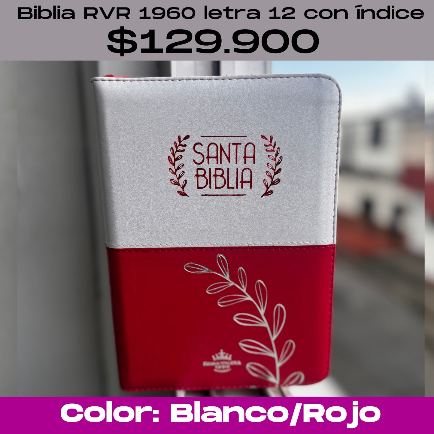 Biblia Letra 12 con índice