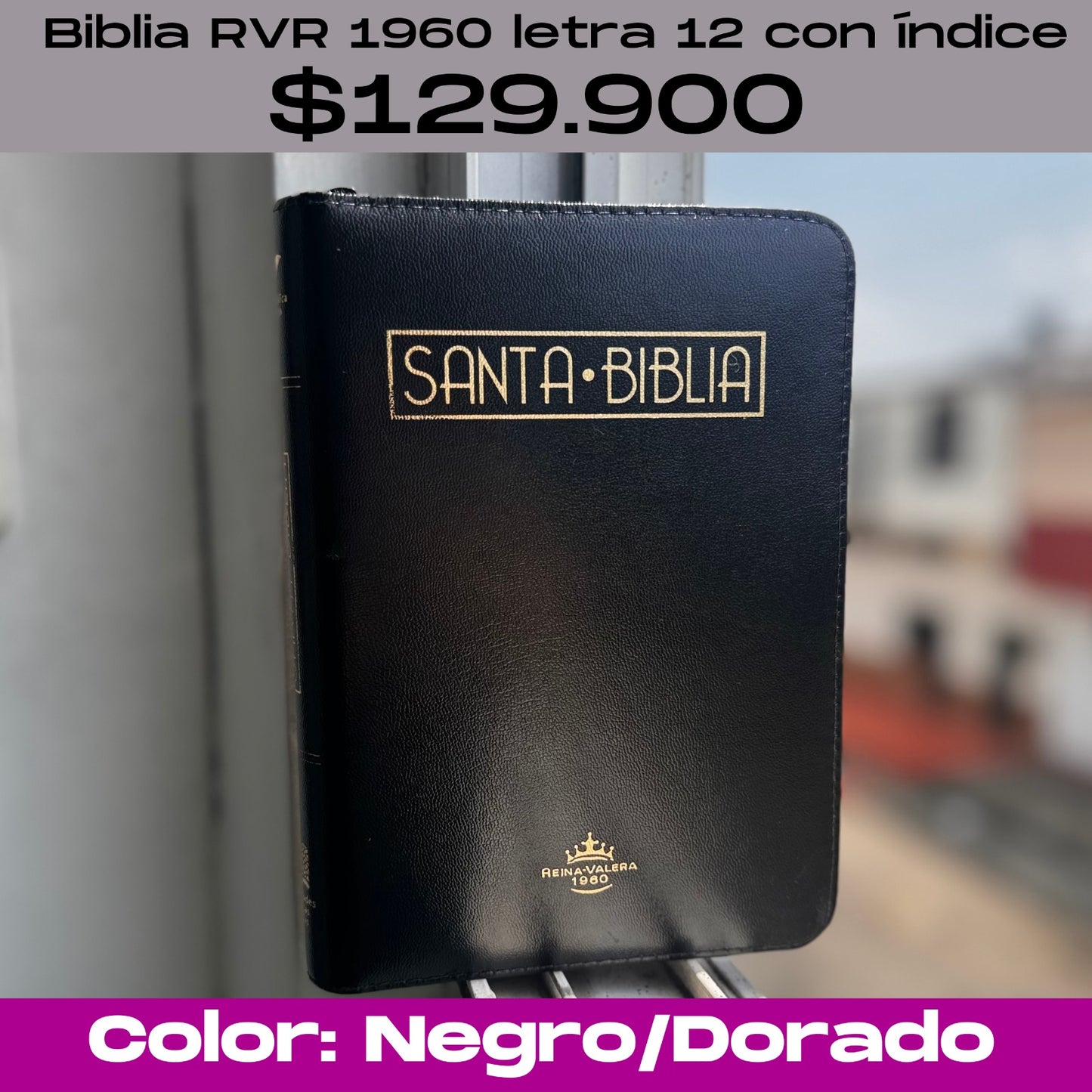 Biblia Letra 12 con índice