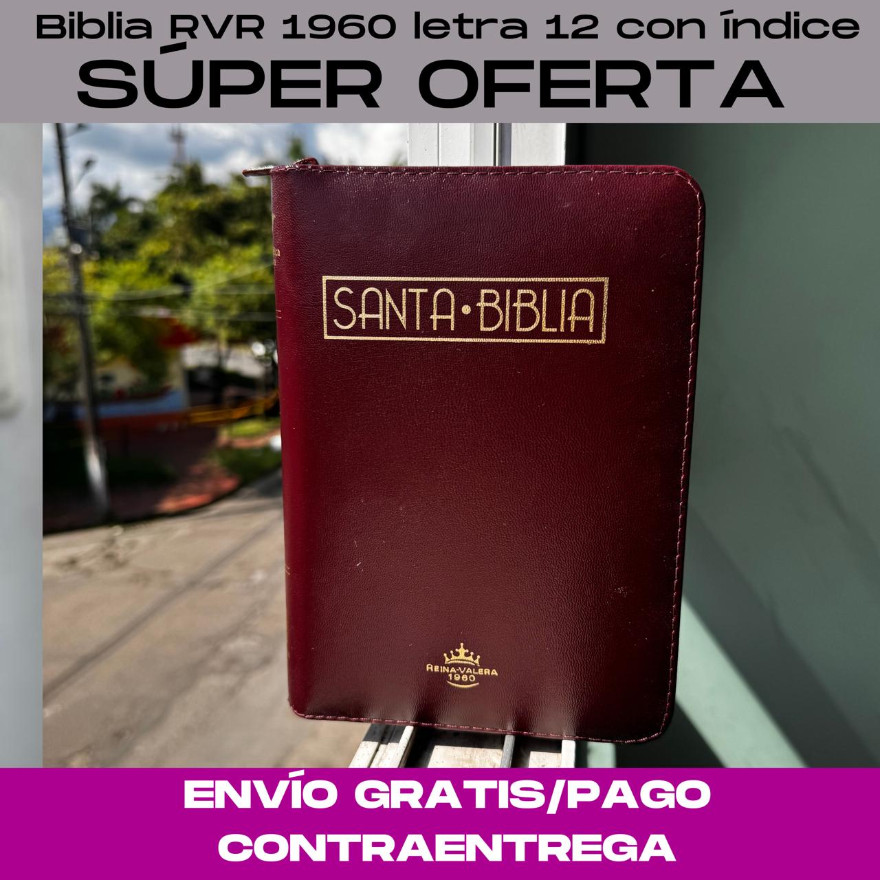 Biblia Letra 12 con índice