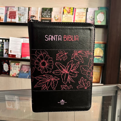 Biblia Letra 12 sin índice