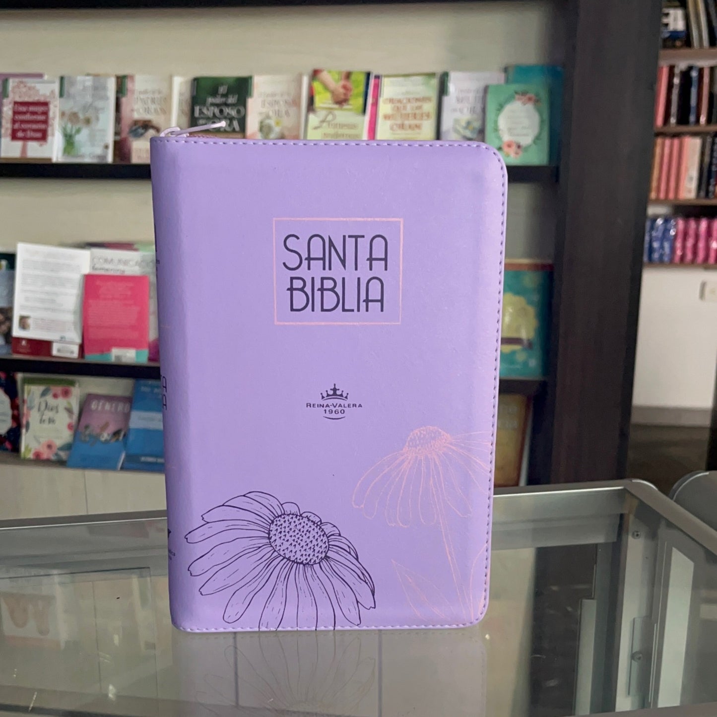 Biblia Letra 12 sin índice