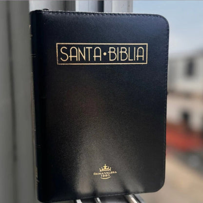 Biblia Letra 12 sin índice