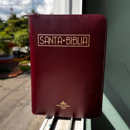 Biblia Letra 12 sin índice