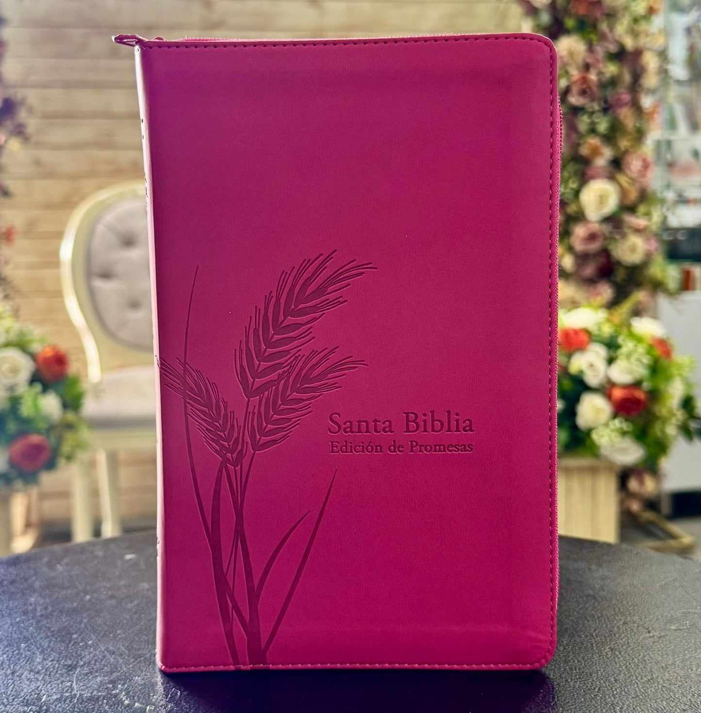 Biblia Edición Promesas