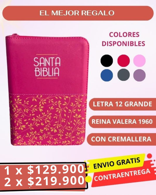 Biblia Letra 12 sin índice