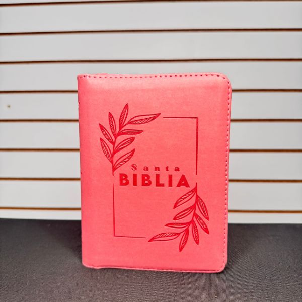 Biblia letra 11 Compacta