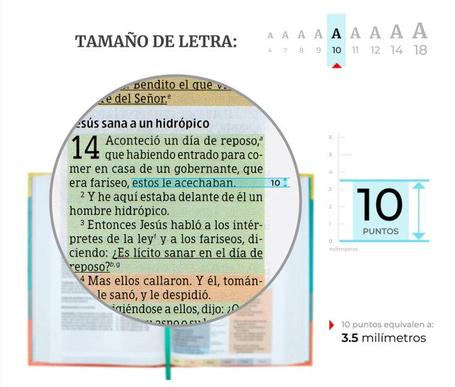 Biblia De Estudio Arco Iris: RVR 1960