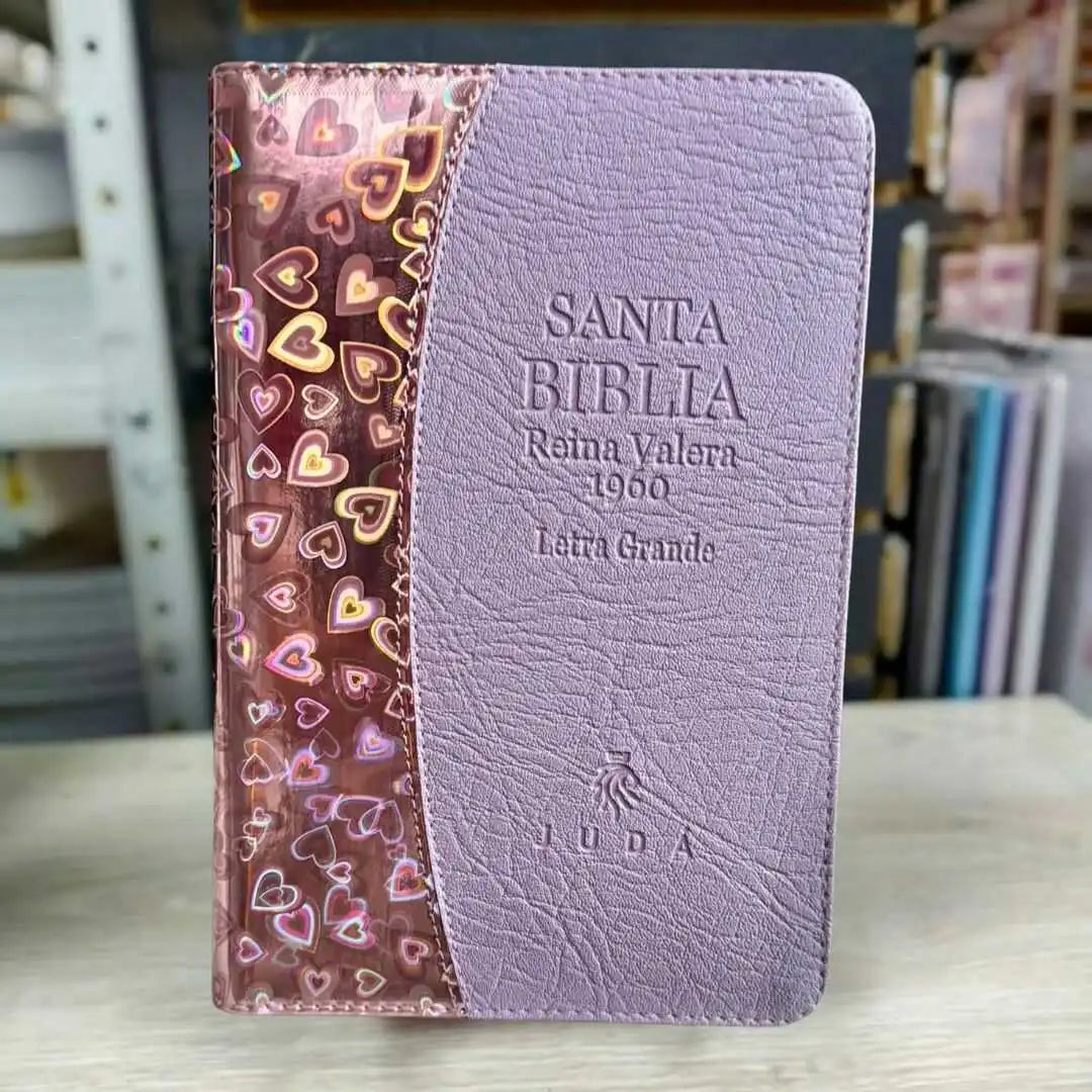 BIBLIA  Reina Valera 1960 Con ayudas