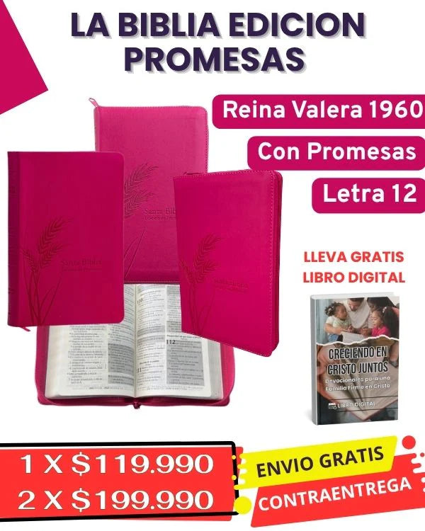 Biblia Edición Promesas