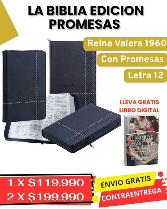 Biblia Edición Promesas